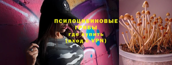 прущие грибы Нязепетровск