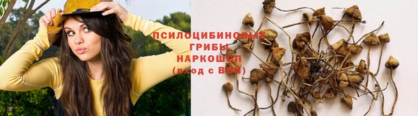 мдма Няндома