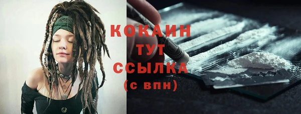 гашик Новодвинск