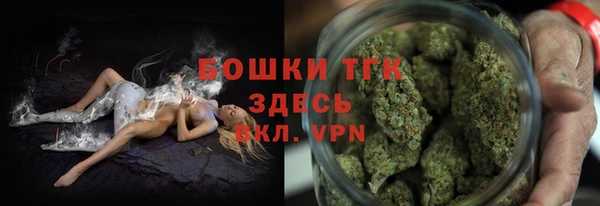 прущие грибы Нязепетровск