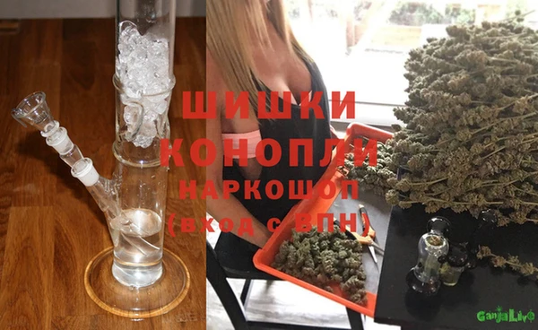 прущие грибы Нязепетровск