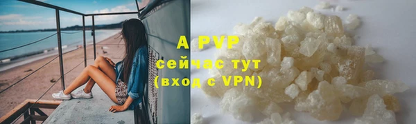 прущие грибы Нязепетровск