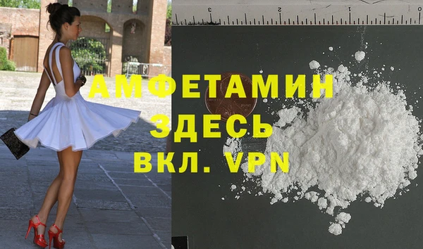 гашик Новодвинск