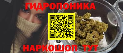 дживик Кингисепп