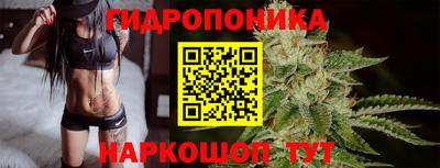 дживик Кингисепп