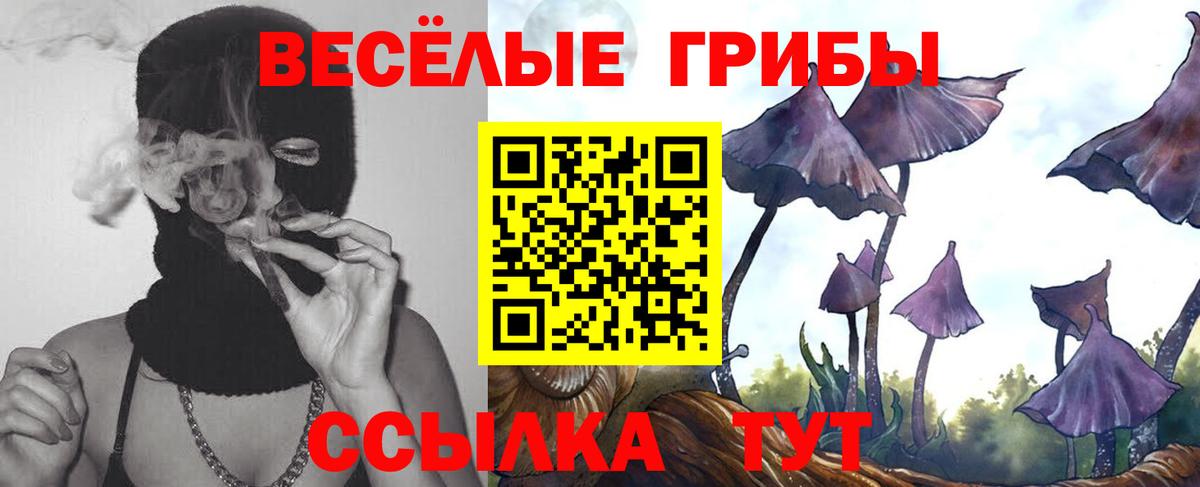 Галлюциногенные грибы MAGIC MUSHROOMS Реутов