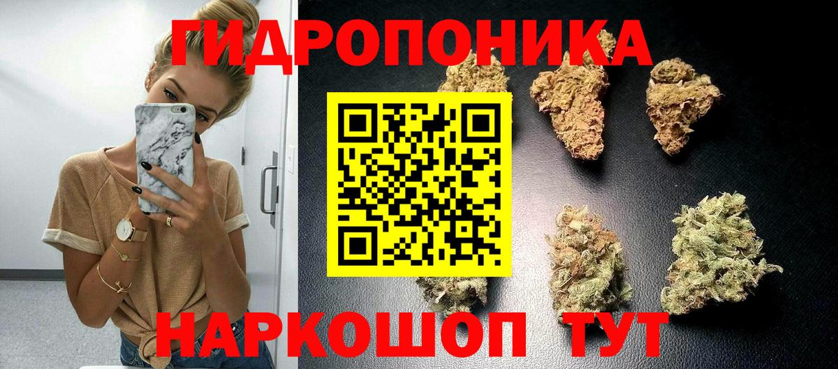 Реутов  МАРИХУАНА OG Kush  Вход с VPN  Канабис план  Конопля White Widow  МАРИХУАНА OG Kush 